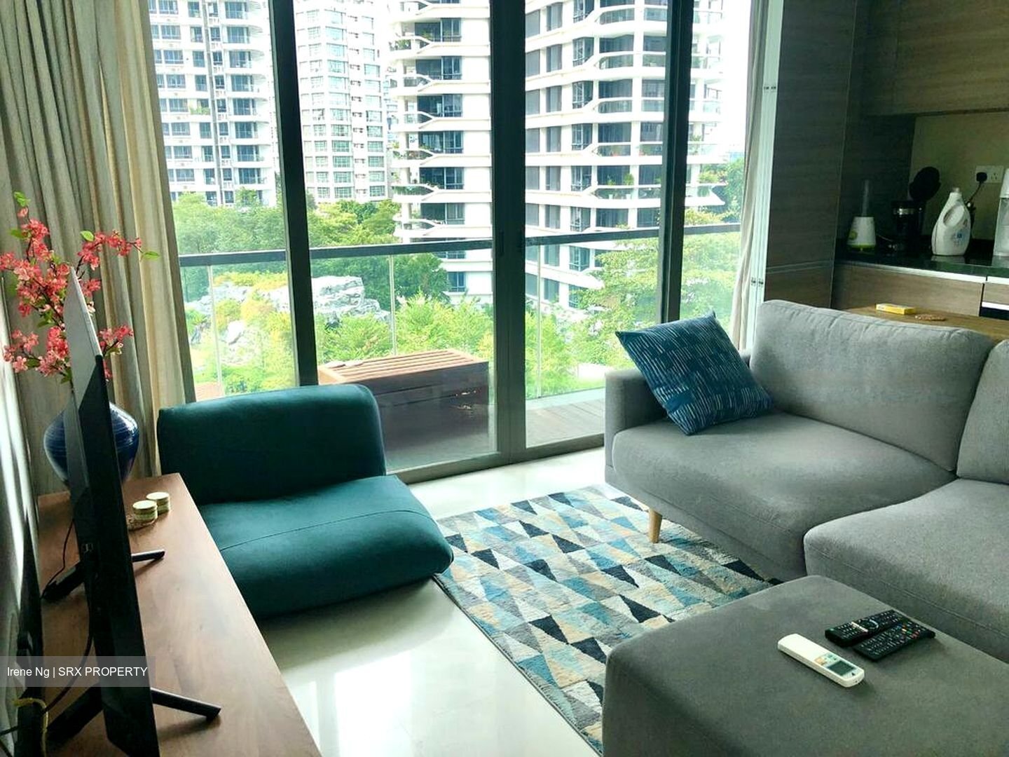 8 Saint Thomas (D9), Condominium #503309681